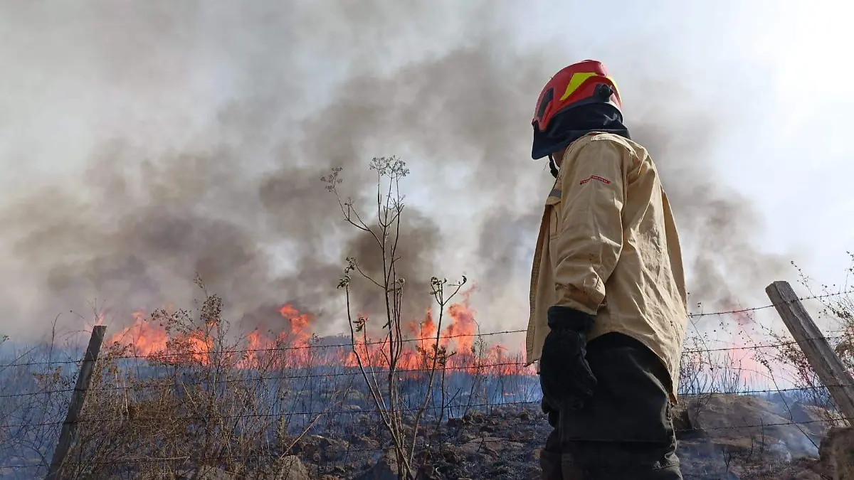 Protección Civil y Bomberos de Zapopan cortesía